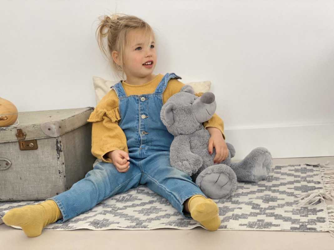 Plüsch Bär Brice grau no. 1, 22 cm